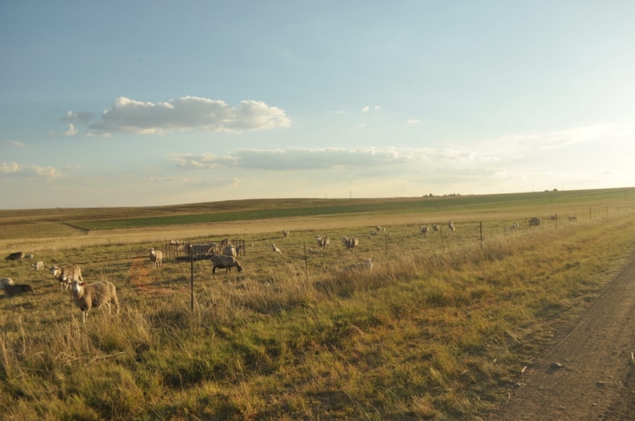 5 Bedroom Property for Sale in Reitz Rural Free State